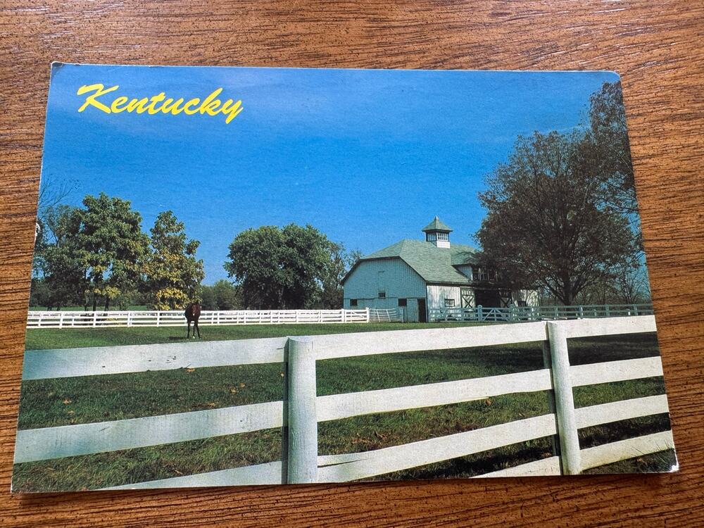 Vintage Kentucky Bluegrass Country Horse Farm Posted Chrome Postcard